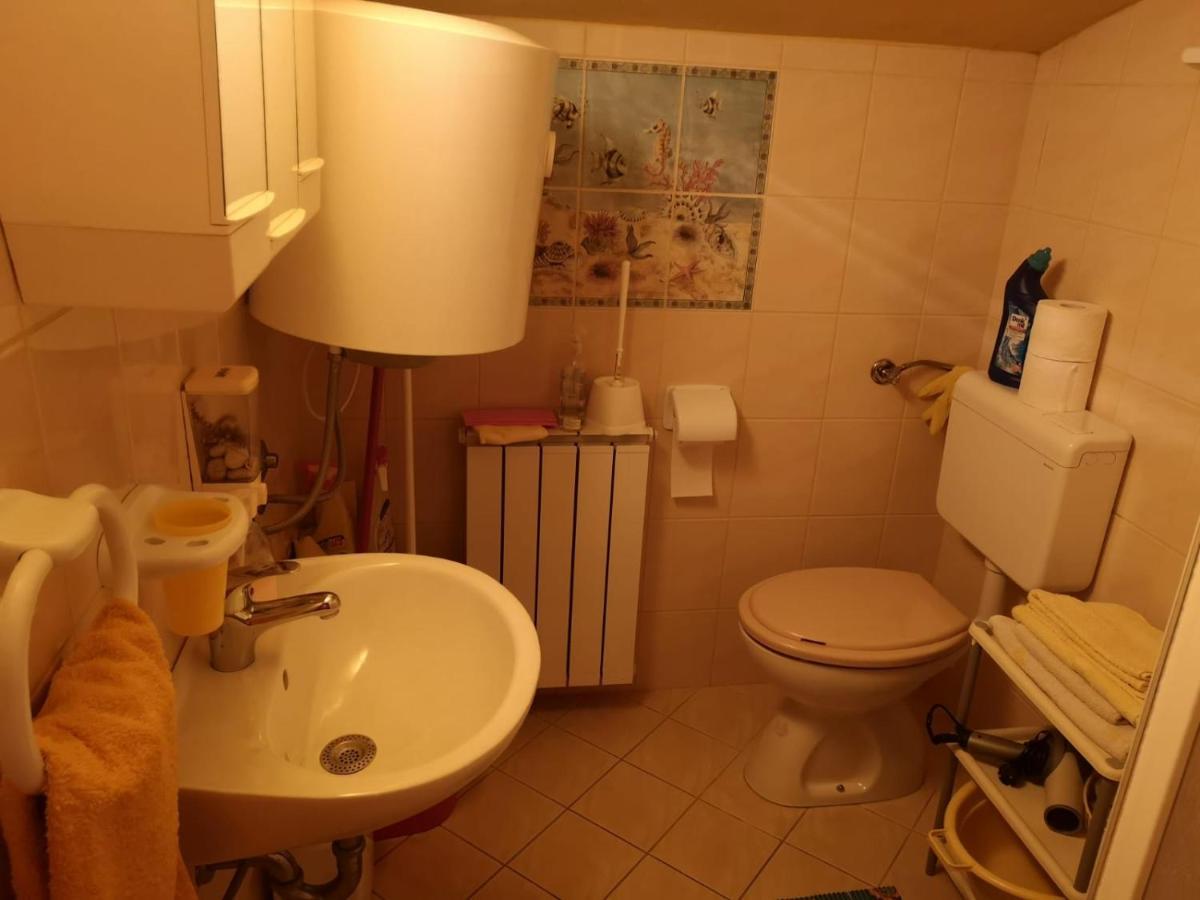 Apartment Samanta Šišan Bagian luar foto