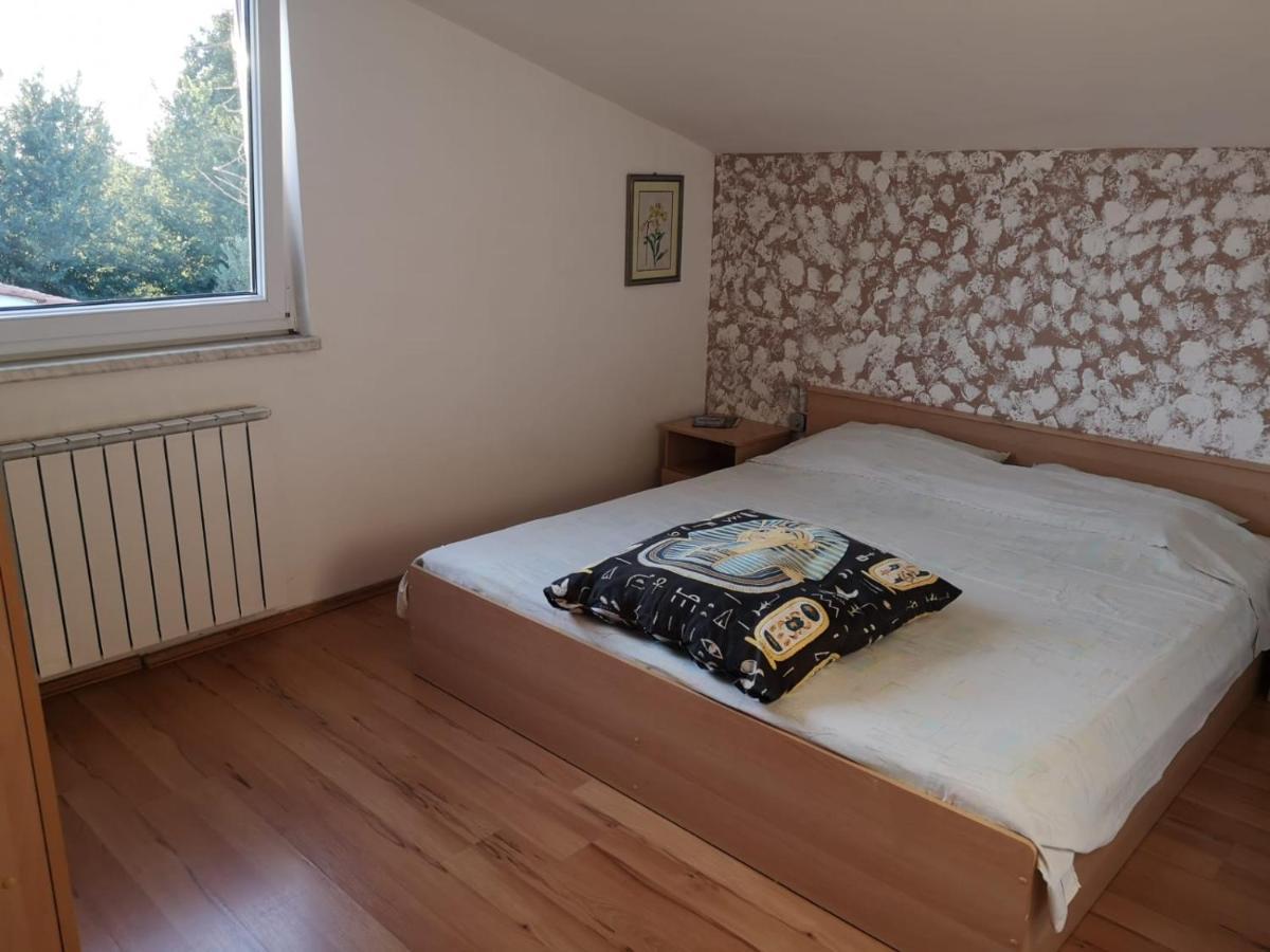 Apartment Samanta Šišan Bagian luar foto