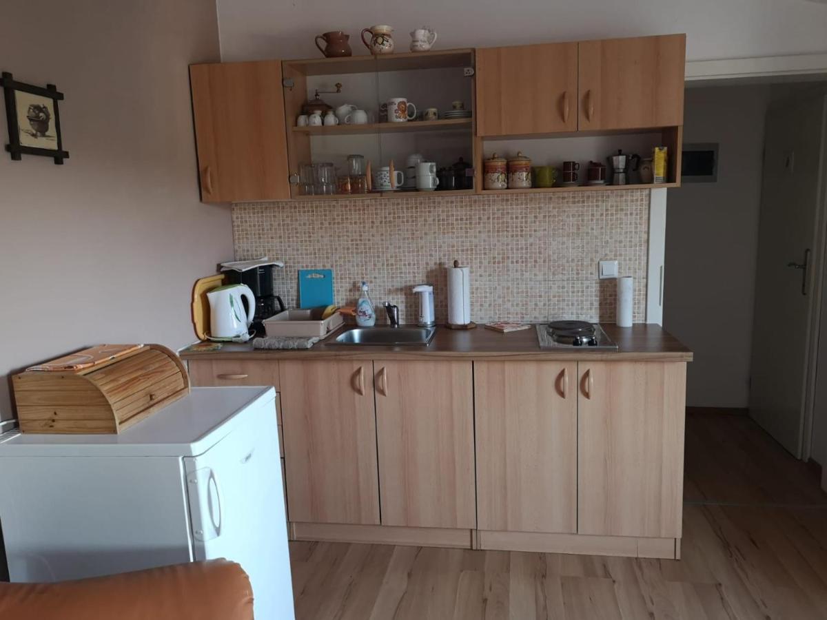 Apartment Samanta Šišan Bagian luar foto