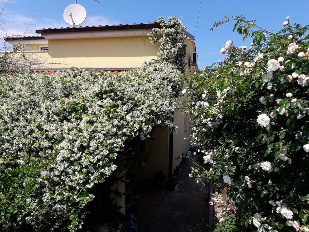 Apartment Samanta Šišan Bagian luar foto