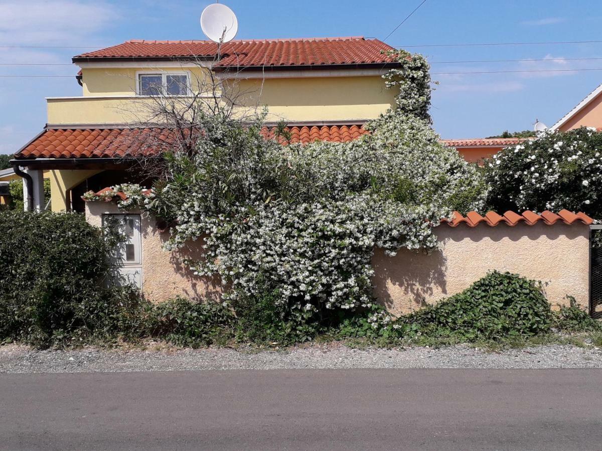 Apartment Samanta Šišan Bagian luar foto